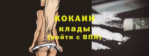 стафф Алексин